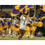 Louisiana State University, LSU, mascotte du tigre-107113058