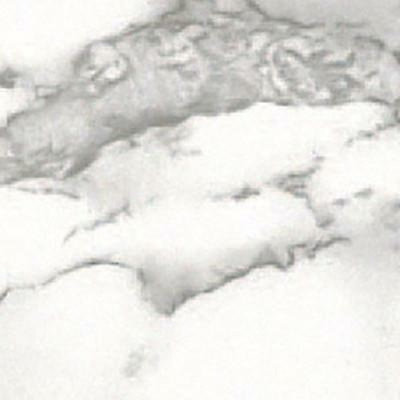 Walkerville 2m x 67.5cm Matte Peel & Stick Wallpaper Roll