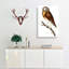 White Fronted Owl by George Shaw - Wrapped Canvas-55299213