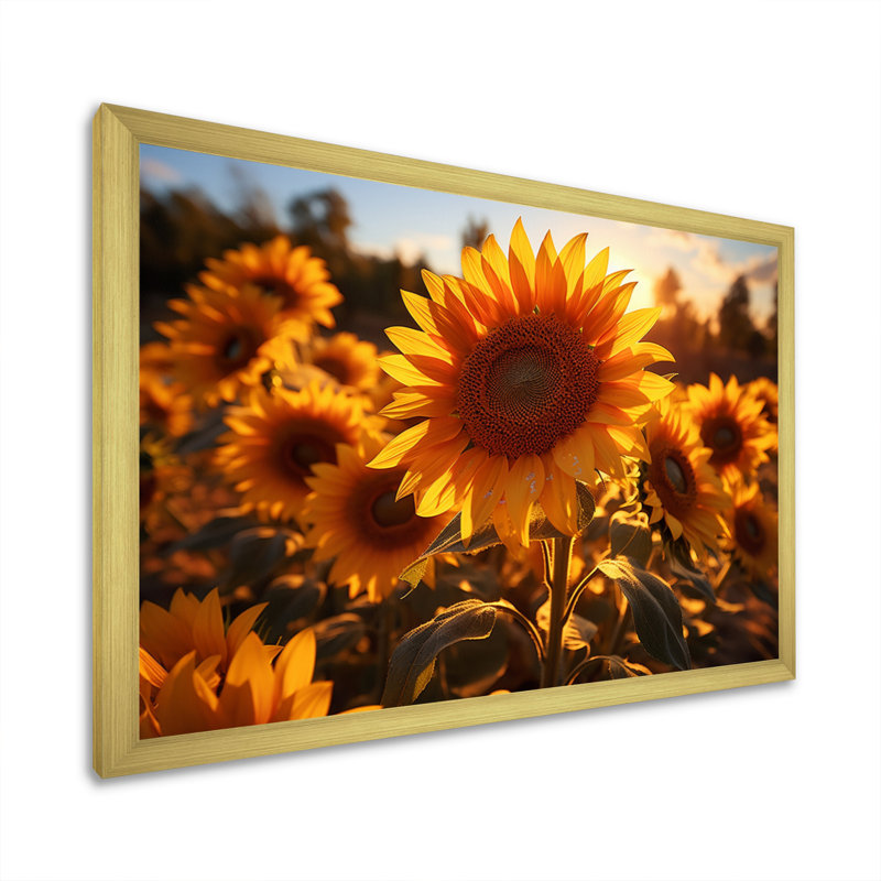 Tournesols orange et tournesols éclairés II, H 34 po x l 44 po x P 1,5 po, Encadrement doré