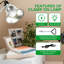 Lampe à pince simple de luxe avec réflecteur en aluminium de 5,5 pouces jusqu'à 60 watts E26 (sans ampoule incluse), cordon de 6 pieds, paquet de 2