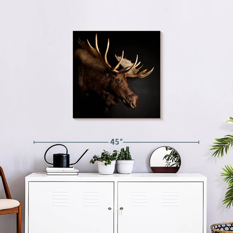 Brampt Antlered Moose, 24" H x 24" W