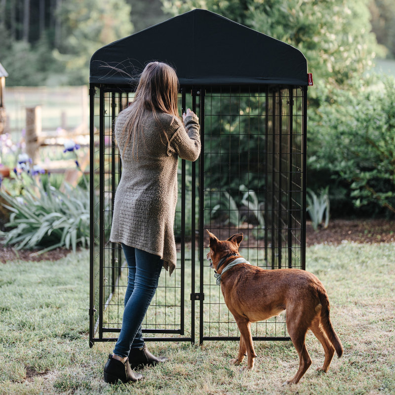 Black Powder Coat Steel Frame Outdoor Dog Kennel with Waterproof Canopy