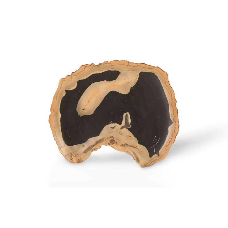 Décoration murale en bois pétrifié Cast Naturals