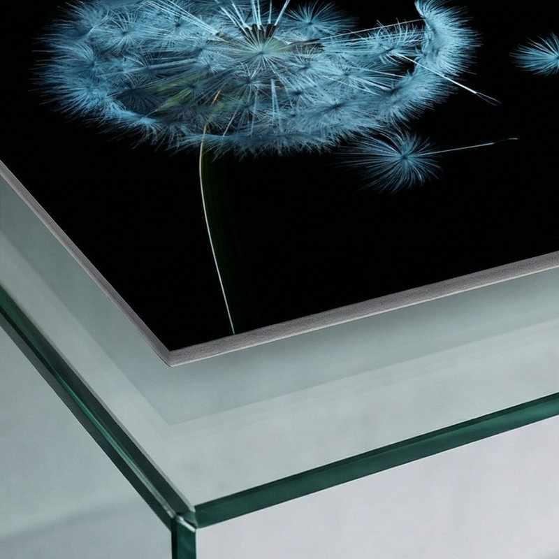 Dandelion Whispers - Impression sur verre