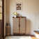 Buffet 2 portes avec rangement pour chaussures
