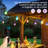 Outdoor String Lights With Dimmable Warm White LED Bulbs (Set Of 12)