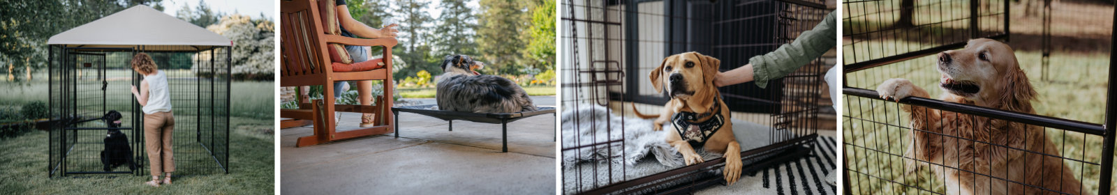 Lucky Dog product collection, including kennels, crates, and pet accessories.
