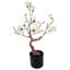 80Cm Artificial Magnolia Plant in Pot-88684997