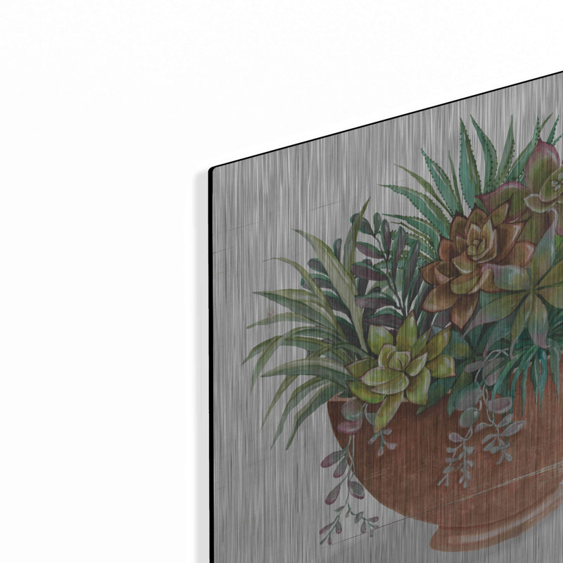 «Terracotta Succulents II» par Cindy Jacobs, H 12 po x l 12 po