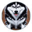  Tapis lavable Husky de Sibérie-764998158