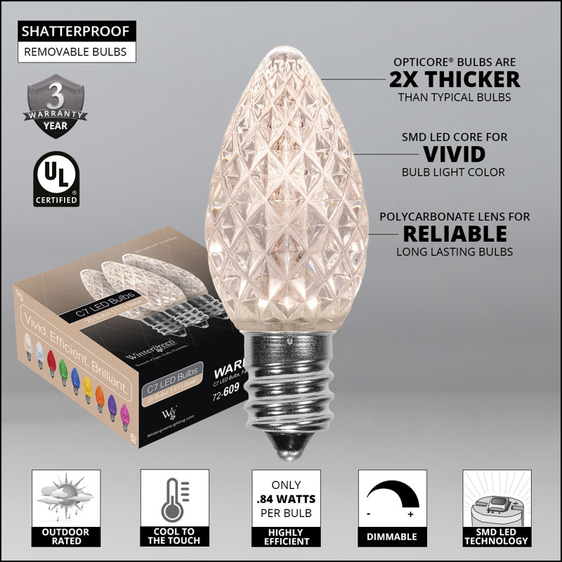 OptiCore LED Shatterproof Luminary & Pathway Lights, 100 feet