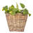 Square Tapered Planter With Plastic Insert