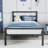 Metal Platform Bed