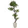 72'' Faux Bonsai Tree in Fiberstone Planter