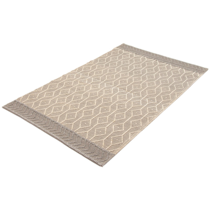 Demarionna Performance Hand Knotted Wool Rug