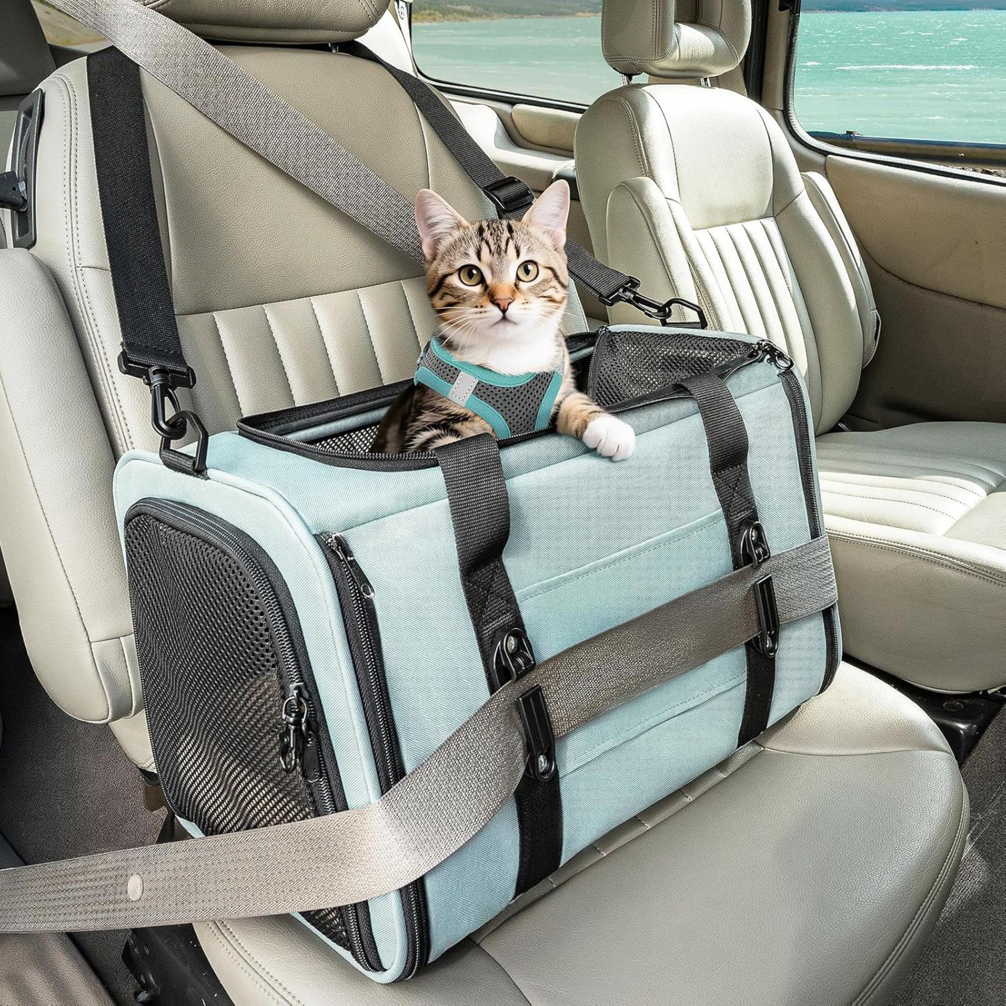 Tucker Murphy Pet™ Cat Car Carrier For Cats Dogs, Airline Approved Cat ...