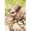 Statue lapin en bois flotté-339798869