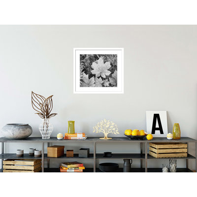 «In Glacier National Park» par Ansel Adams, impression giclée sur cadre