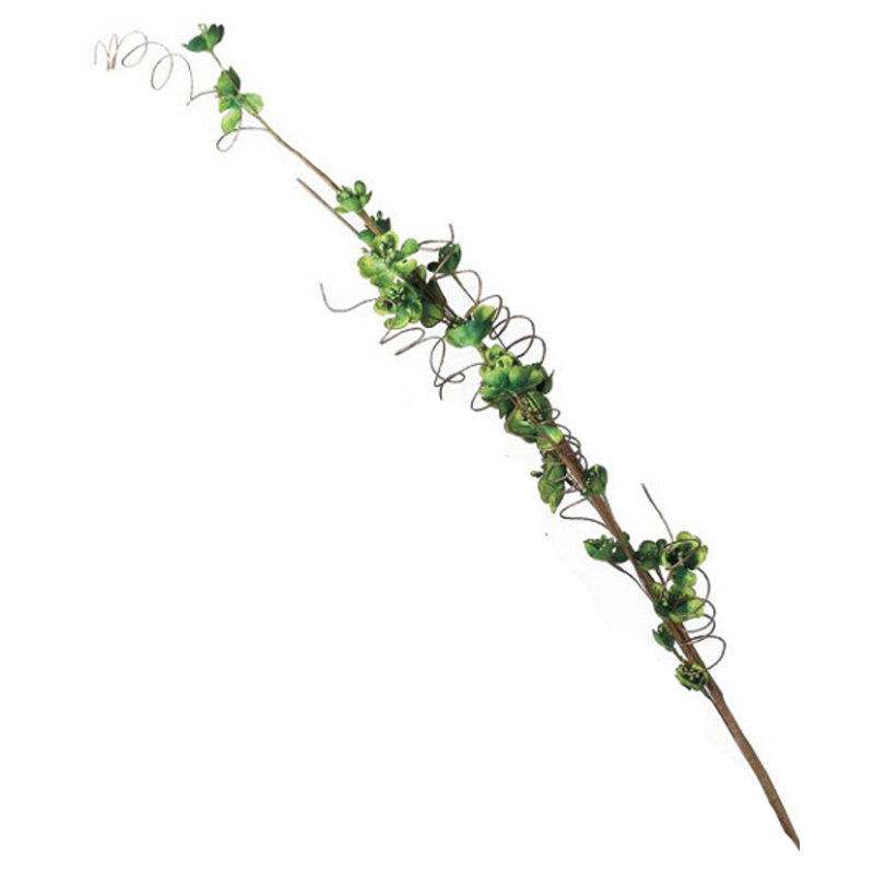 Arrangement, Green
