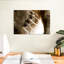 Griffes d'ours Brampt-108905953