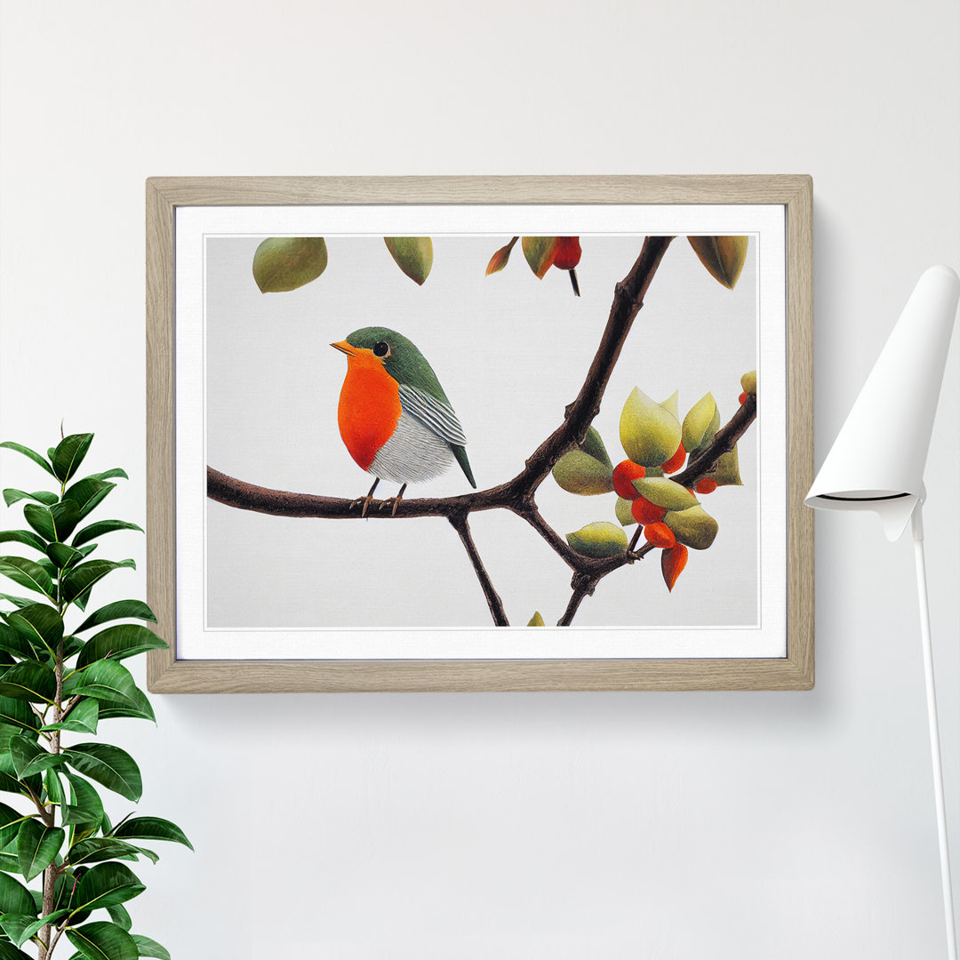 Captivating Robin Bird - Framed Print