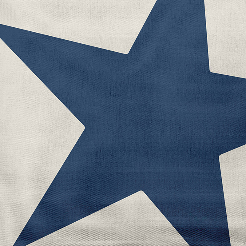 Coussin décoratif en coton star Louth, 20" x 20", Nautical Blue