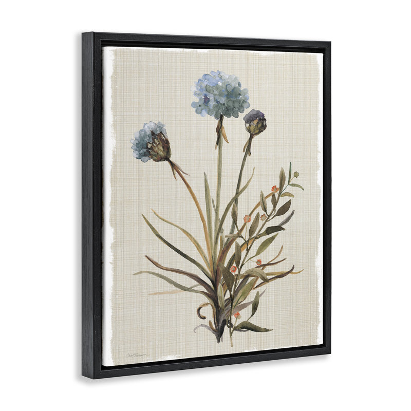 Cadre flottant avec bourgeons d'hortensia naturel, design par Carol Robinson, H 21 po x l 17 po, Cadre flottant noir de jais