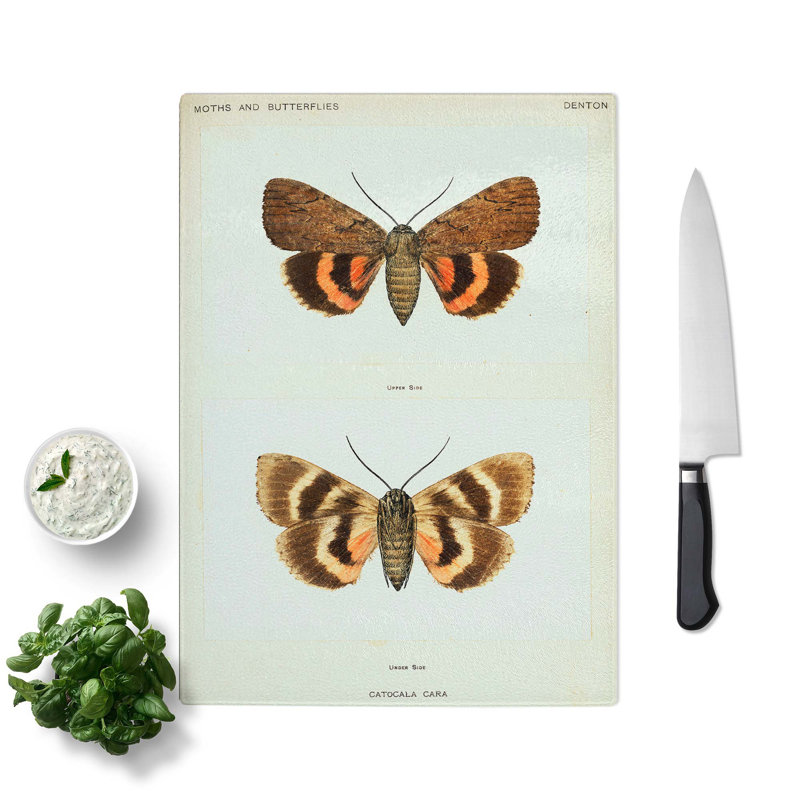 Tempered Glass Darling Underwing Moth Chopping Board, 20 cm W x 28.5 cm L