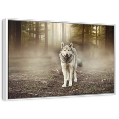 Bold Wolf