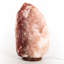 Lampe de sel himalayen 80-100 lbs par Black Tai Salt Co.