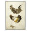 Untitled Print by Patrick Atkinson-1389948107-1389948108
