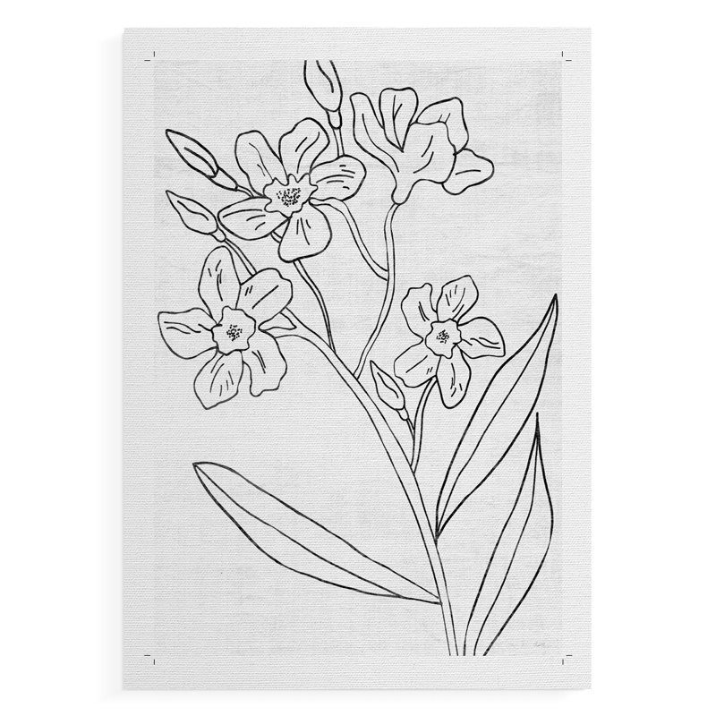 Croquis botanique II - reproduction de toile seulement - non encadrée, H 48 po x l 32 po
