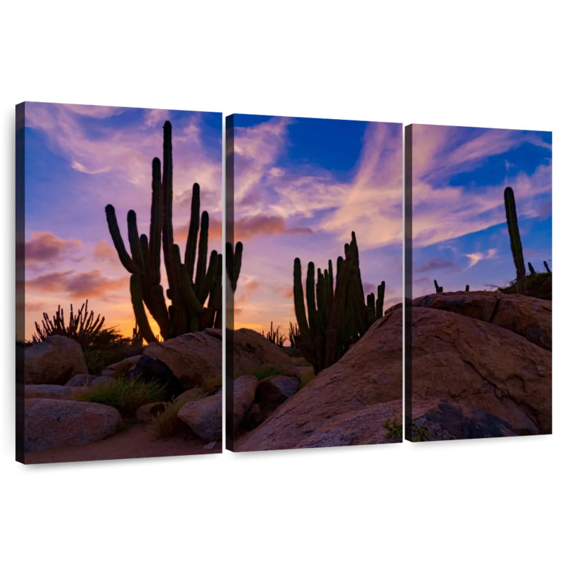 Harnek Aruba Island Cactus, 20" H x 33" W