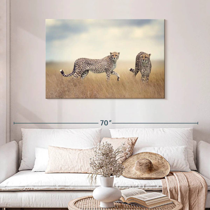 Wild Cat Pair