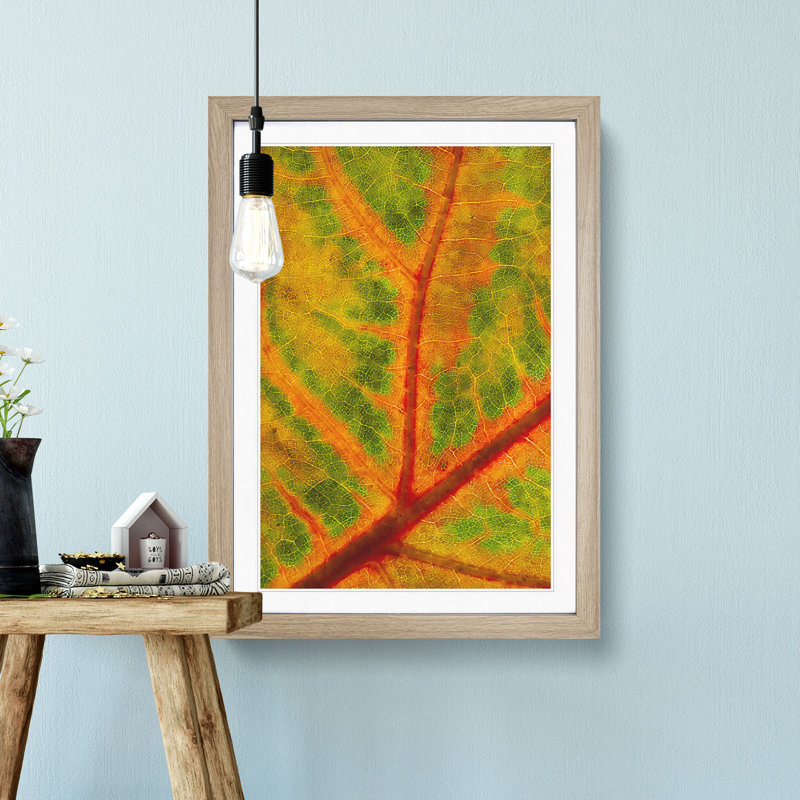 Map of a Leaf - Picture Frame Painting Print, 63cm H x 45cm W x 2cm D, Oak Framed