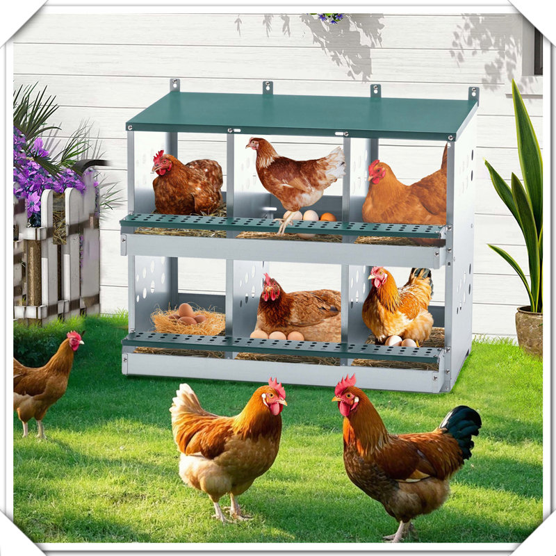 6-Compartment Chicken Nesting Box Roll Away Egg Laying Box