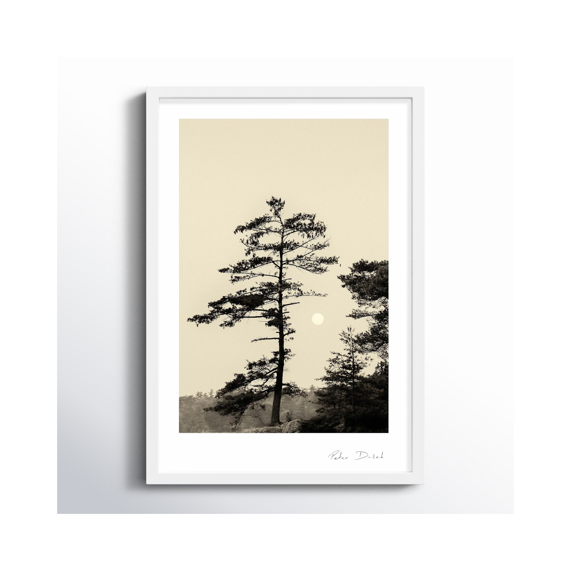 Serenity by Peter Dušek, White, 20" H x 14" W x 1.25" D