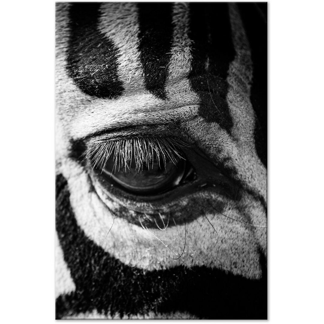 Leinwandbild Zebra Eye