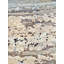 Proprietary Patterns Abstract Area Rug in Derby Ivory-341094825
