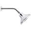 Bancroft 2.5 Gpm Multifunction Showerhead With Katalyst Air-Induction Technology-741930809