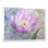 «Radiant Blossom Of Purple Tulip IV», reproduction sur toile