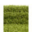 Tapis vert Torun-671548164-715440270
