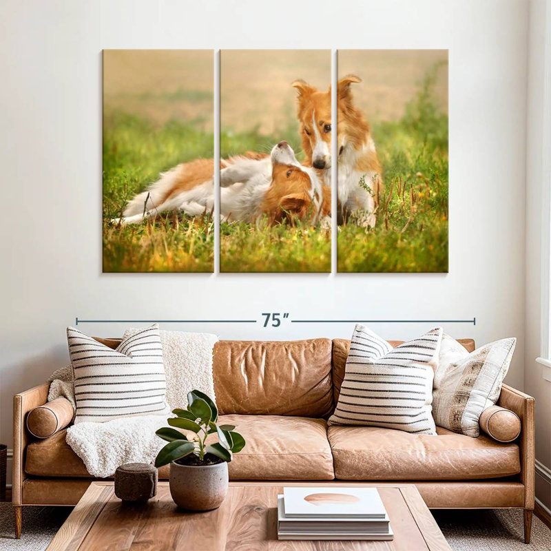 Brampt Border Collie Playtime, 42" H x 65" W