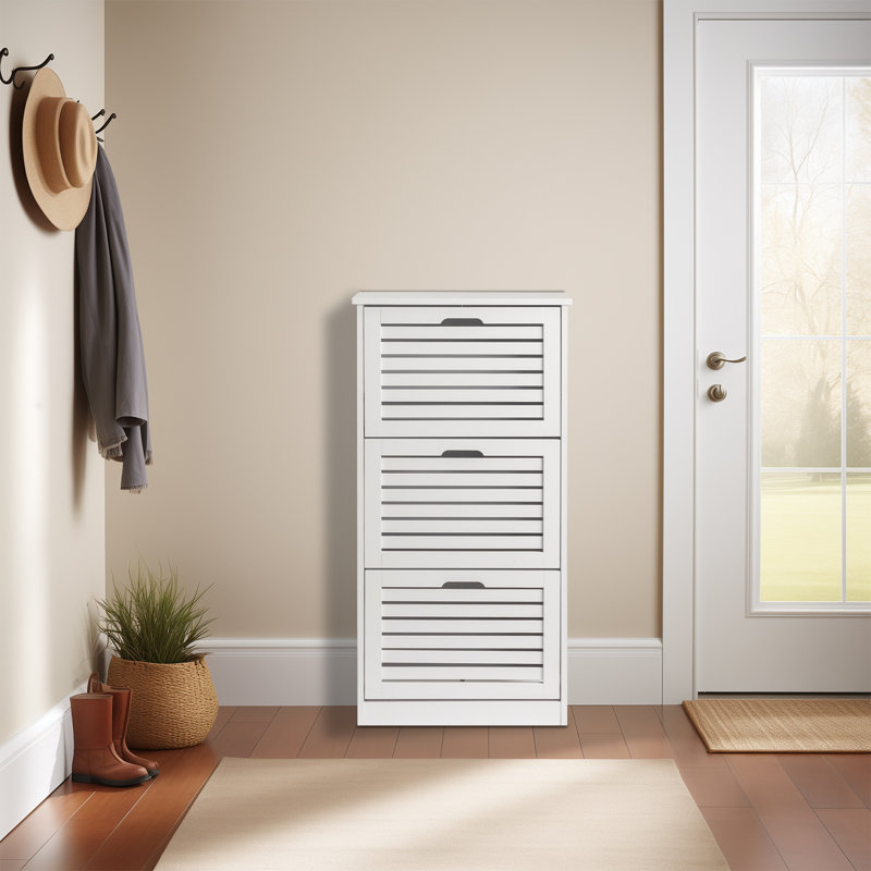 Shoe Storage Cabinet