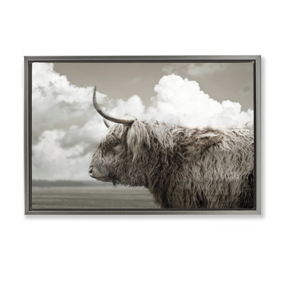 Longhorn Cattle & Clouds View