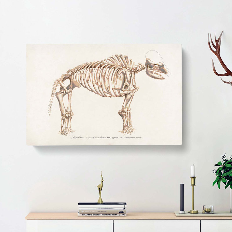 Mammoth Skeleton by Charles D Orbigny - Wrapped Canvas Drawing - Wrapped Canvas, 40cm H x 60cm W x 3cm D