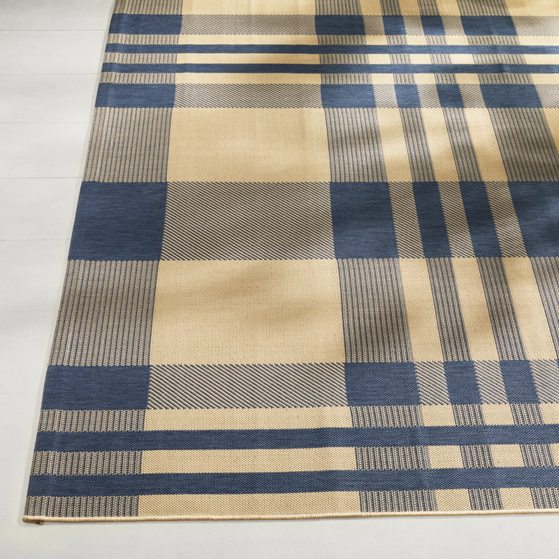 Tapis d'intérieur / extérieur à motif écossais Debriana Performance, Rectangulaire 8 pi x 10 pi, Blue/Bone