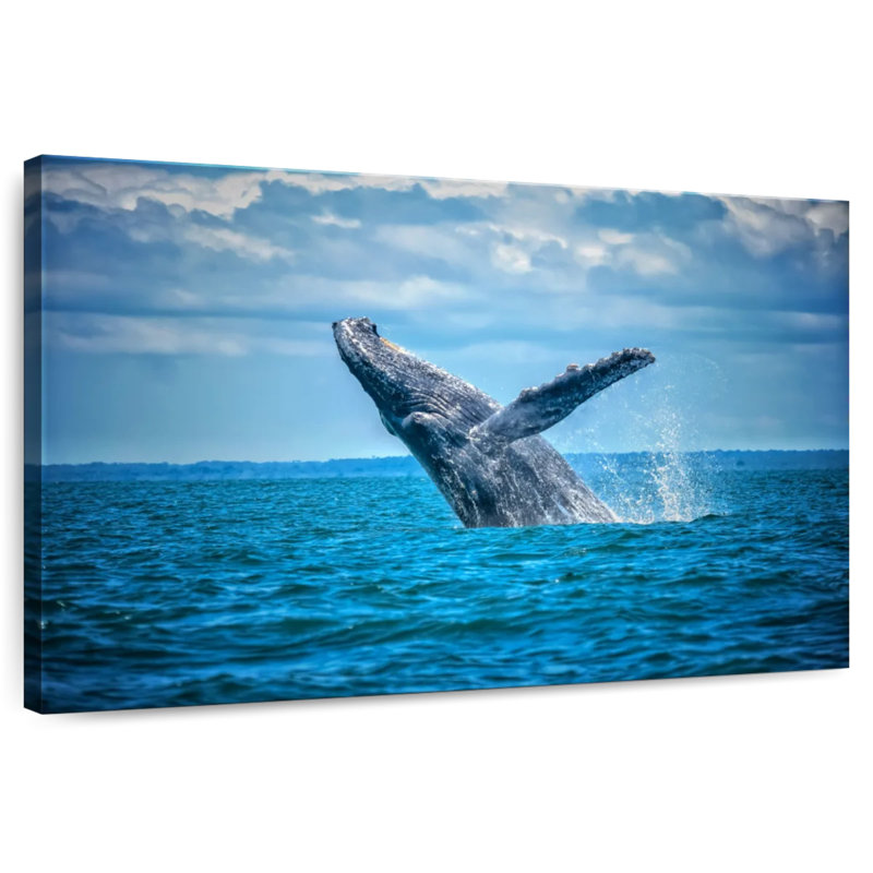 Brampt Pacific Humpback Whale, 34'' H x 51'' W