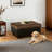 Darryn 35" Wide Upholstered Storage Ottoman-288930760